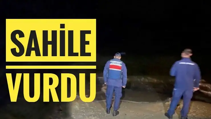 Sahile vurdu