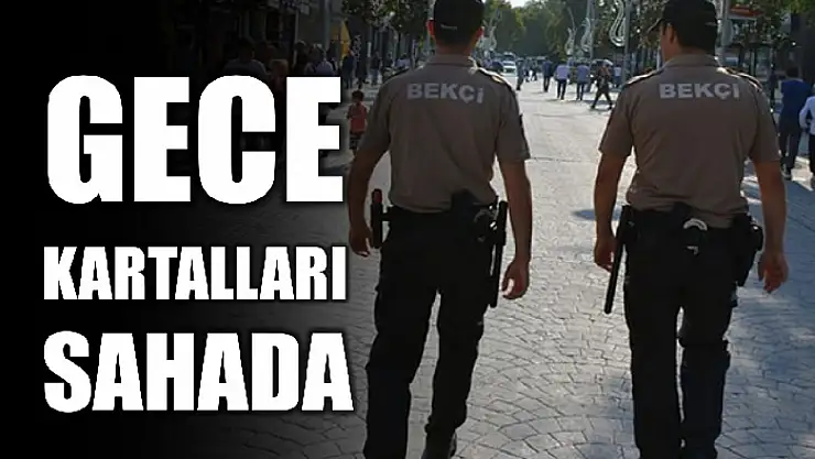 Şahıslar sorgulandı, cezalar yazıldı