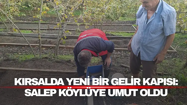Salep tarımı köylüye umut oldu
