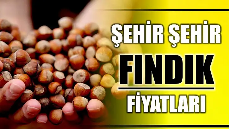 Şehir şehir fındık fiyatları