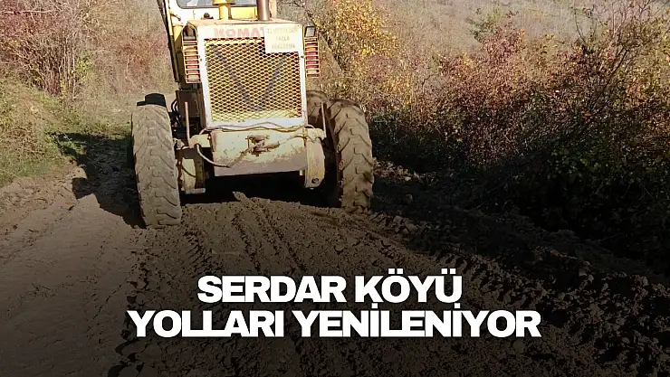 Serdar Köyü Yolları Yenileniyor