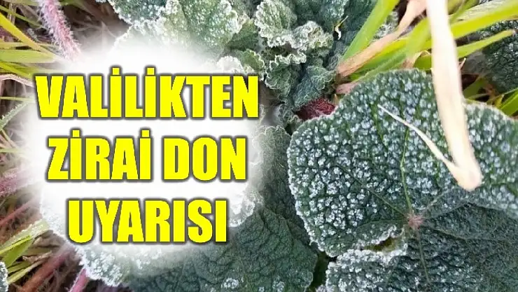 Sıcaklıklar azaldı, bitkiler için tehlike
