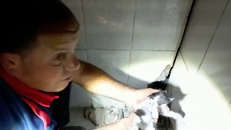 Sıkışan yavru kediyi itfaiye kurtardı 