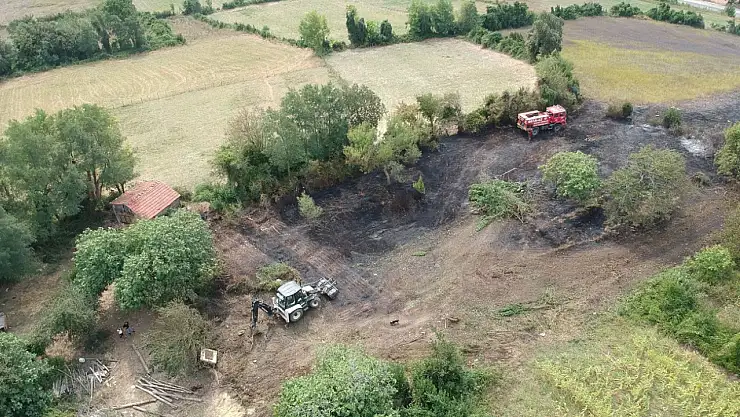 Sinop'ta yangın, 10 dönüm alan zarar gördü