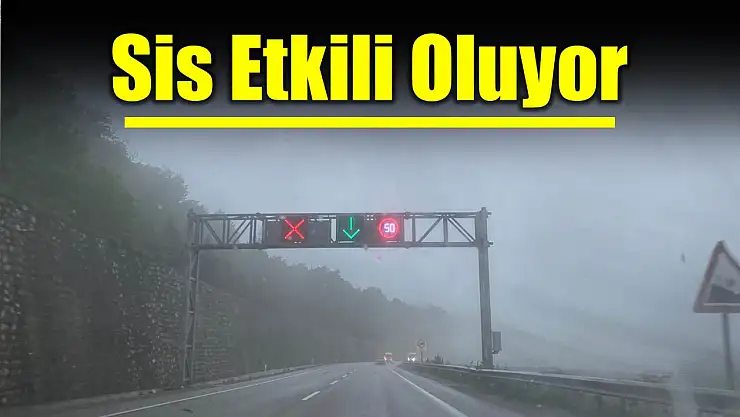 Sis etkili oluyor