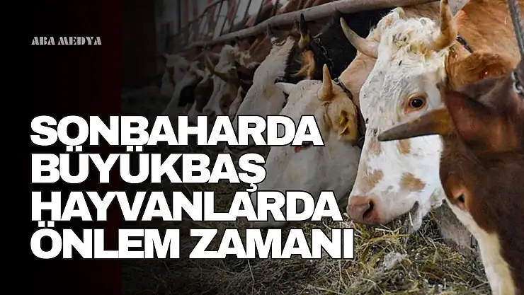 Sonbaharda Büyükbaş Hayvanlarda Önlem Zamanı