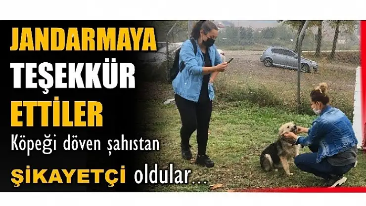 Sopayla köpek döven şahıstan şikayetçi olundu...