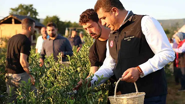 Süper meyvenin hasadını vali elleriyle yaptı