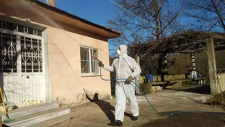 Tarım ve Orman İl Müdürlüğü'nden 'Kahverengi Kokarca' çağrısı