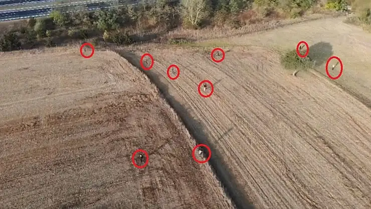 Tarlada göçmen kovalamacası 122 göçmen yakalandı