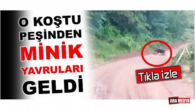 TEKRAR TEKRAR İZLEYECEKSİNİZ! BARTIN