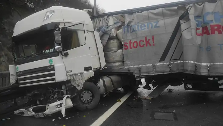 TEM'de makaslayan tır trafiği durdurdu