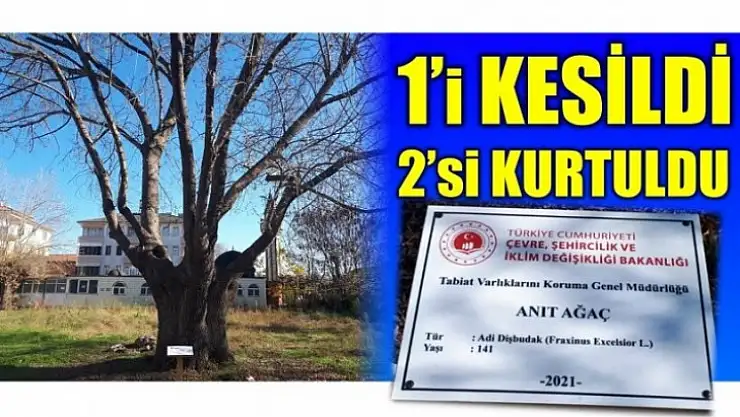 Tescil tabelaları yerleştirildi...