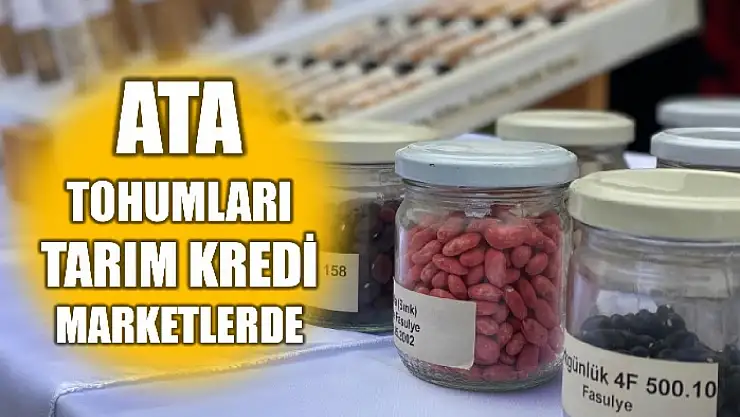 Tescilli ata tohumlarına kolayca erişilebilecek