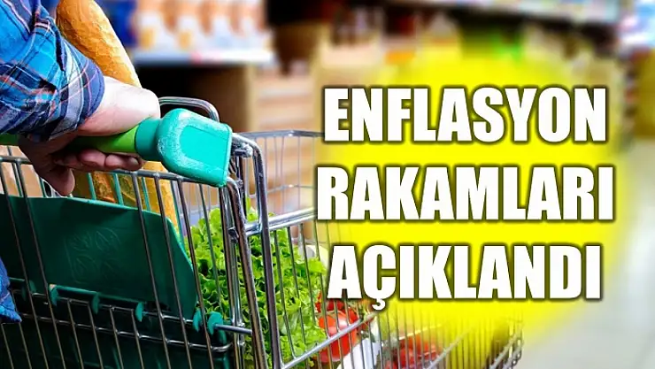 TÜİK açıkladı