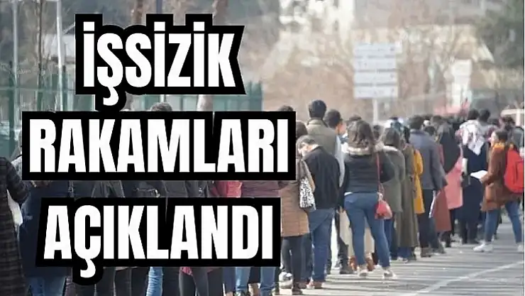 TÜİK istatistikleri paylaştı