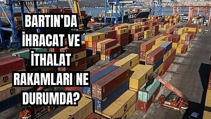 TÜİK istatistikleri paylaştı