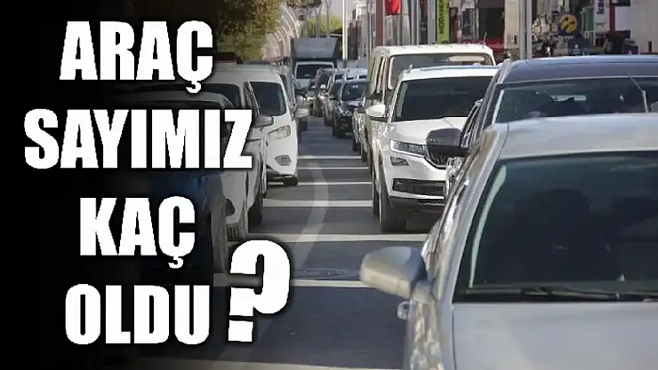 TÜİK rakamları açıkladı