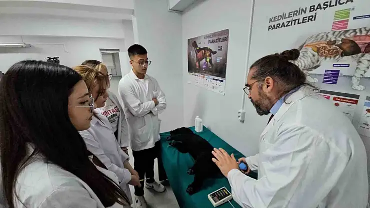 Türkiye'de bir ilk: Meslek yüksekokulunda veteriner sağlık eğitimi simülatörlerle veriliyor