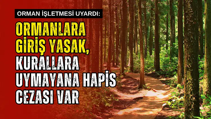Ulus Orman İşletmesi Uyardı
