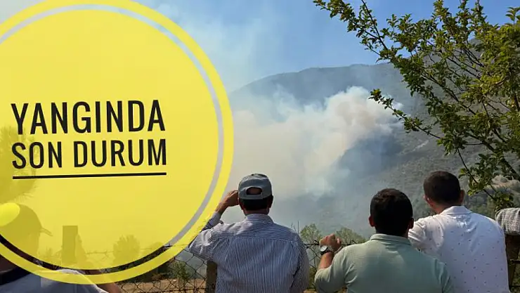 Ulus'ta Orman Yangını