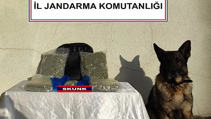 Uyuşturucu tacirleri otobüste yakalandı