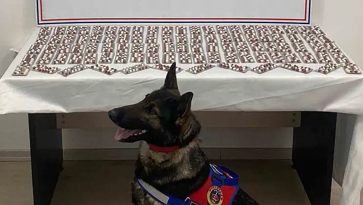 Uyuşturucuyla yakalanan şahıs utuklandı