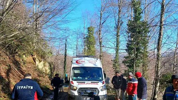 Üzerine tomruk devrilen işçi yaralandı
