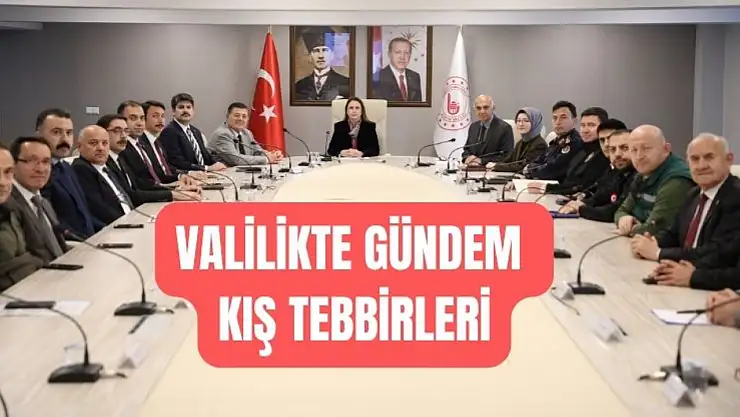 Vali Arslan'dan 'Üzerinize düşen görevi yapın' talimatı