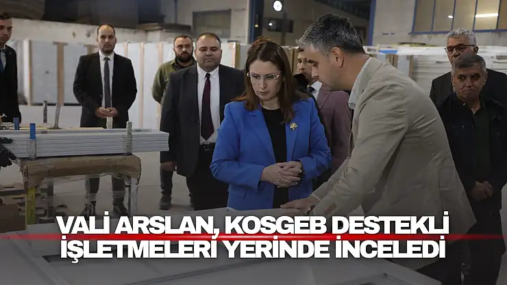 Vali Arslan, KOSGEB Destekli İşletmeleri Yerinde İnceledi