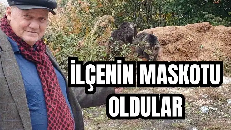 Vatandaşlar sahip çıktı