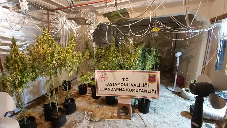 Villa kiralayıp uyuşturucu yetiştirdiler