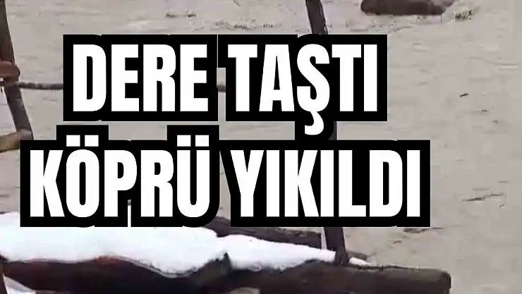 Yağışlara dayanamadı