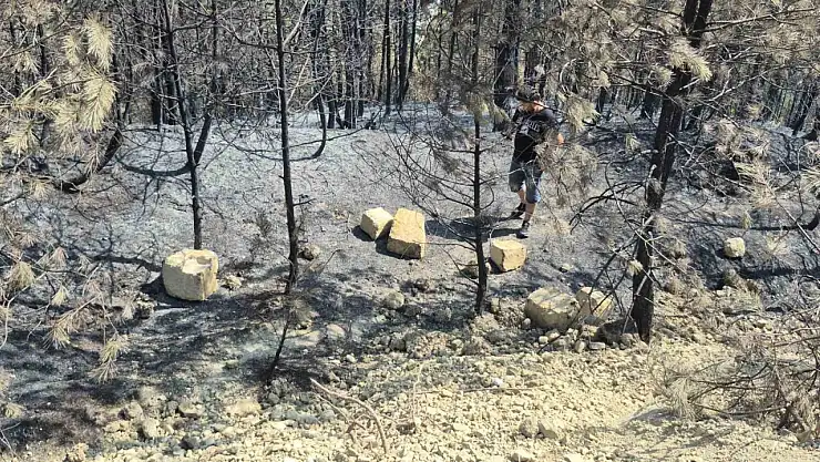Yangının yol açtığı tahribat görüntülendi