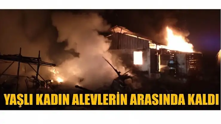 Yaşlı kadın yangında hayatını kaybetti
