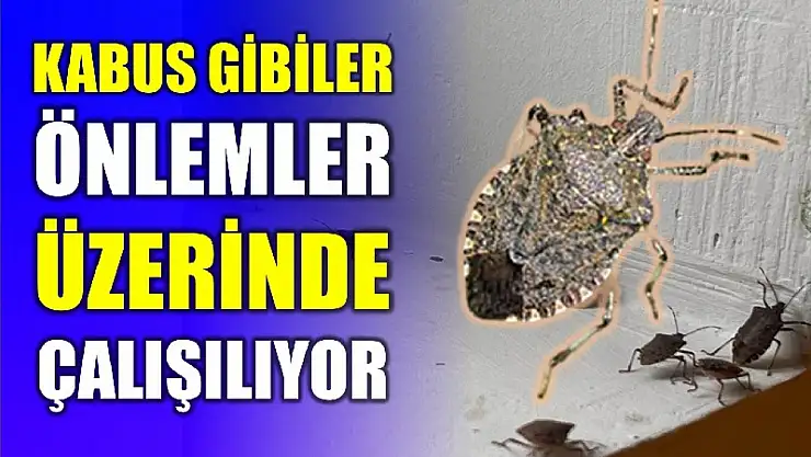 Yeni önlemler gündemde