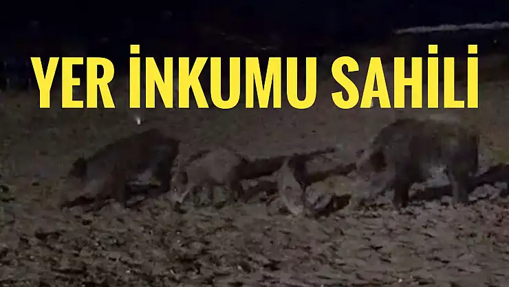 Yer İnkumu sahili