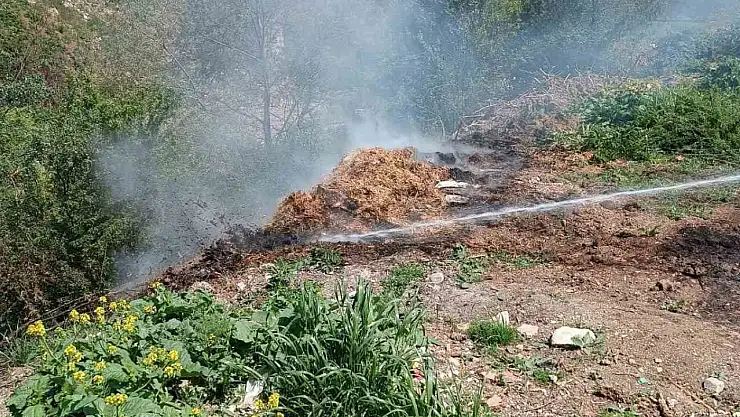 Çürüyen samanlar alev aldı