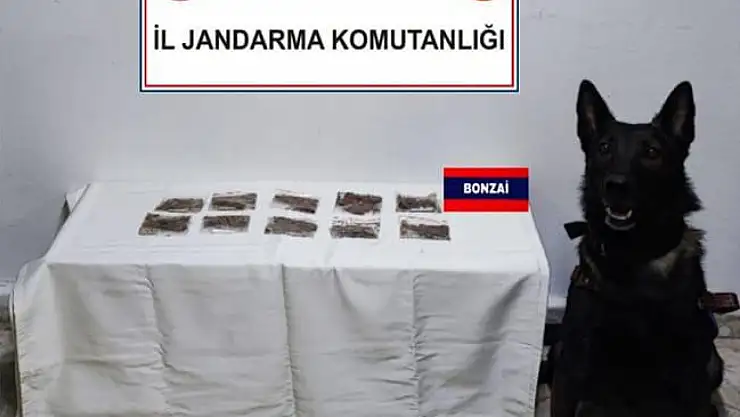 Yol kontrolünde uyuşturucu yakalandı: 7 gözaltı