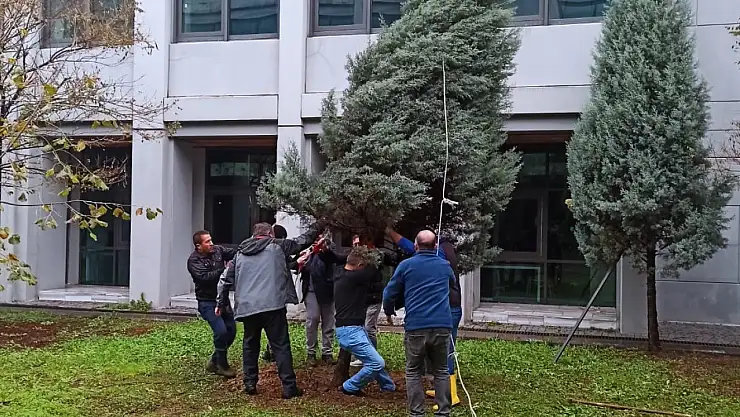 ZBEÜ'de Fırtınada Zarar Gören 68 Ağaca Destek Yapıldı