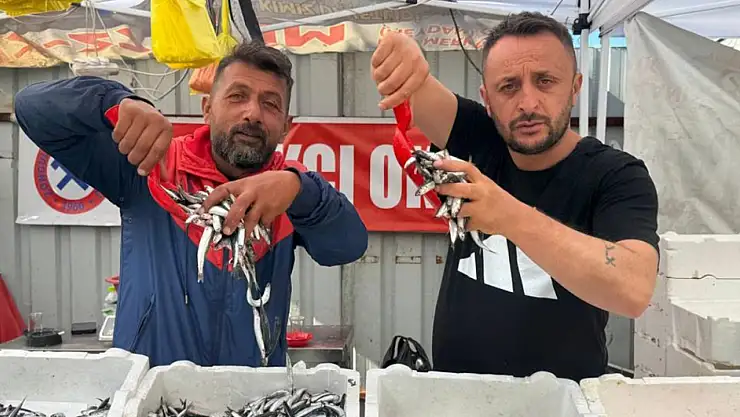 Zonguldak'ta hamsinin fiyatı 75 liraya düştü