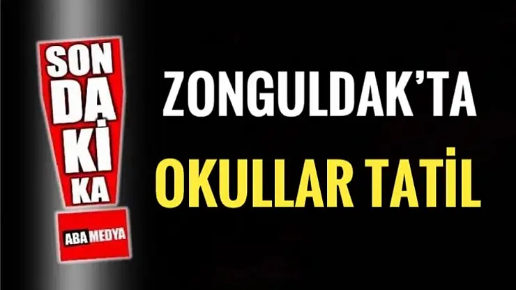 Zonguldak'ta okullara kar tatili