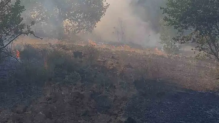 Zonguldak'ta ormanlık alanda çıkan yangına ekipler müdahale etti