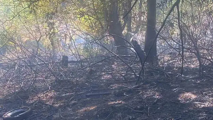 Zonguldak'ta ormanlık alanda çıkan yangın kısa sürede söndürüldü