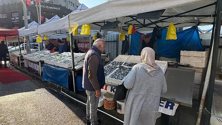 Zonguldak'ta tezgahtaki hamsi yerini diğer çeşit balıklara bırakıyor