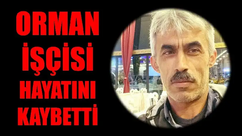 Ağaç keserken kafasına dal düştü