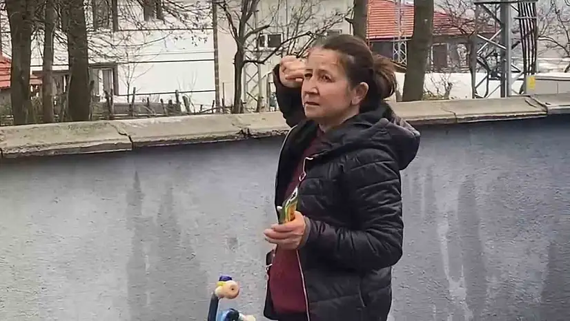 Ağaçta mahsur kalan kedi bir haftadır kurtarılmayı bekliyor