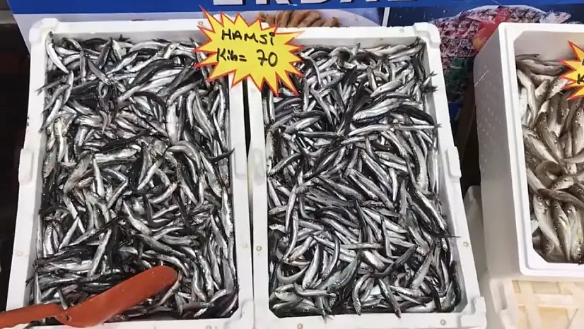 Akçakoca'dan balık tüketicilerine uyarı: