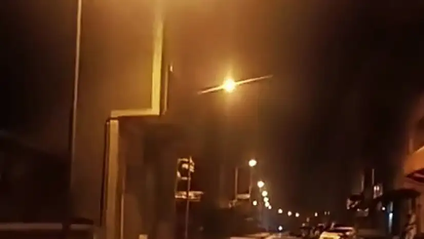 Anne ayı ve yavruları ilçe merkezine indi