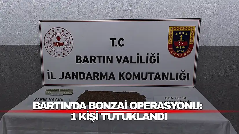 Bartın'da Bonzai Operasyonu: 1 Kişi Tutuklandı
